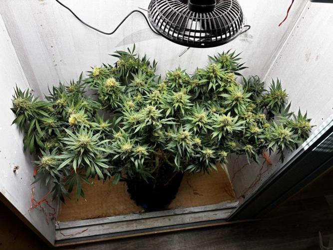 Milky way f1 hybrid auto but not auto xD. Week 6