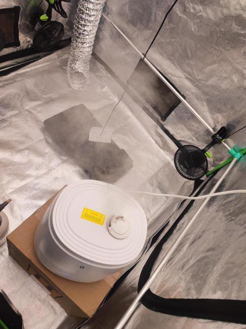 Barney's Farm going Jealousy. Week 1 - Hier der start 