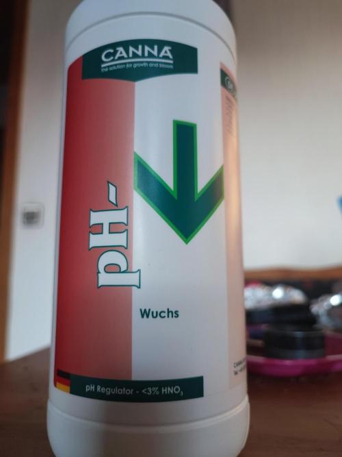 Barney's Farm going Jealousy. Week 5