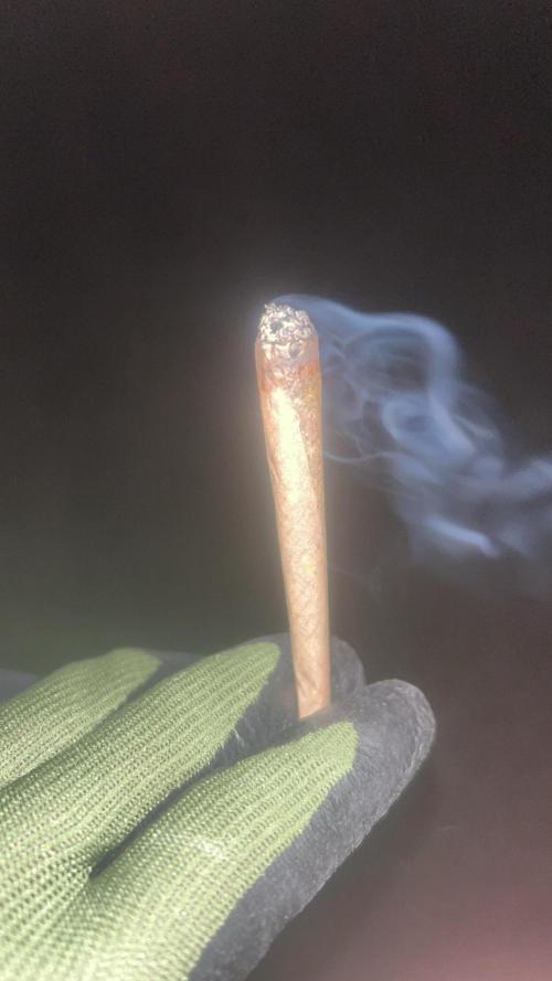 Purple lemonade second grow. Week 9