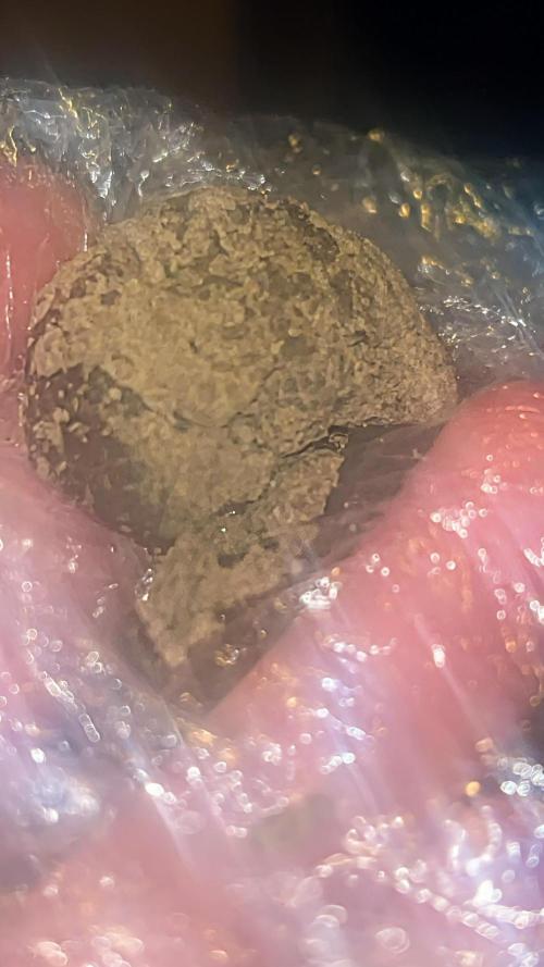 Purple lemonade second grow. Week 9