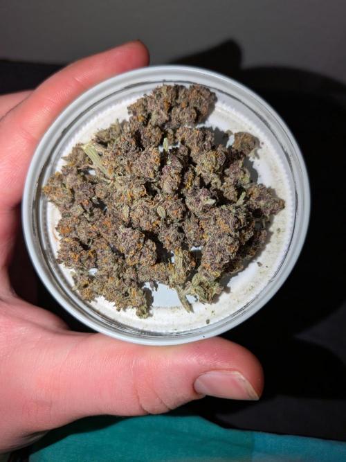 Purple haze. Week 9