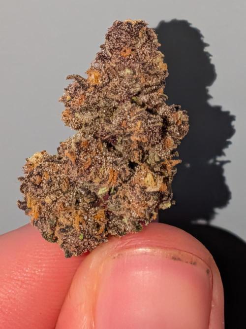 Purple haze. Week 9