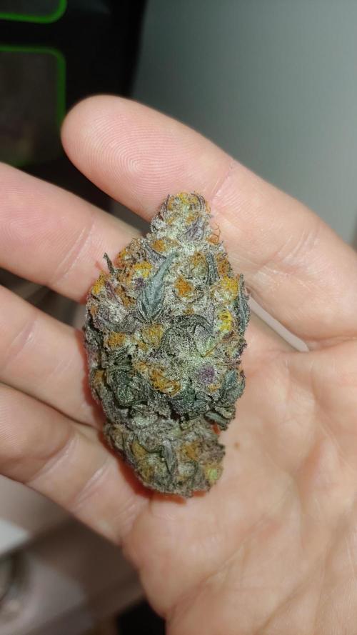 Elev8 Frosty Bananas & Apple Candie. Week 16