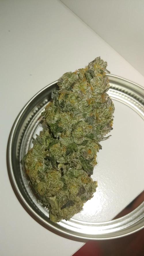 Elev8 Frosty Bananas & Apple Candie. Week 16