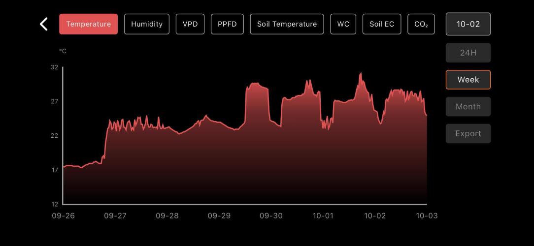 LSD Auto - GanjaFFarMers. Week 0 - W1 - Temp