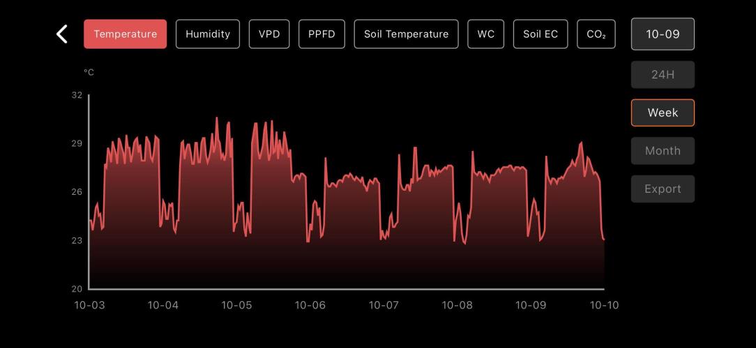 LSD Auto - GanjaFFarMers. Week 1 - W2 - Temp
