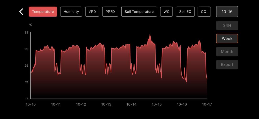 LSD Auto - GanjaFFarMers. Week 2 - W3 - Temp