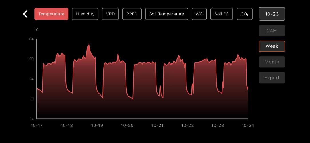 LSD Auto - GanjaFFarMers. Week 3 - W4 - Temp