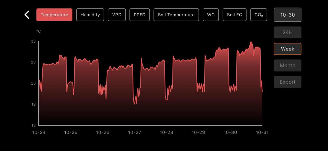 LSD Auto - GanjaFFarMers. Week 5 - W5 - Temp