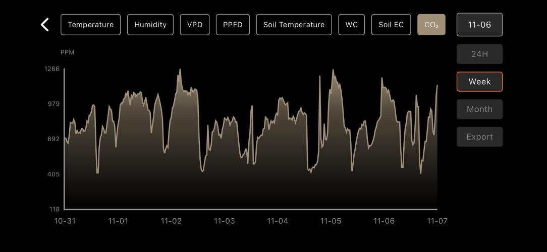 LSD Auto - GanjaFFarMers. Week 6 - W6 - CO²