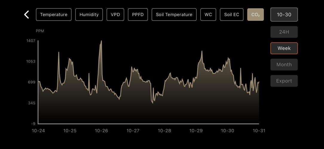 LSD Auto - GanjaFFarMers. Week 4 - W5 - CO²