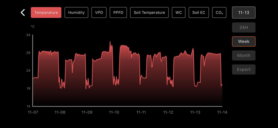 LSD Auto - GanjaFFarMers. Week 6 - W7 - Temp