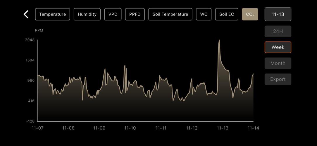 LSD Auto - GanjaFFarMers. Week 6 - W7 - CO²