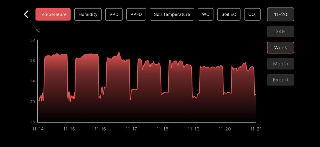 LSD Auto - GanjaFFarMers. Week 7 - W8 - Temp