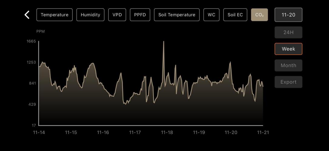 LSD Auto - GanjaFFarMers. Week 7 - W8 - CO²