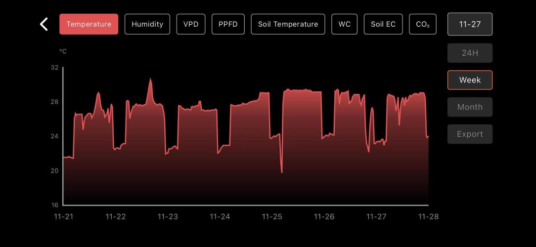 LSD Auto - GanjaFFarMers. Week 8 - W9 - Temp