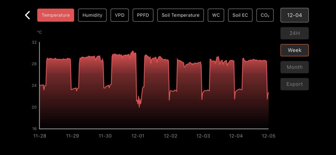 LSD Auto - GanjaFFarMers. Week 9 - W9 - Temp