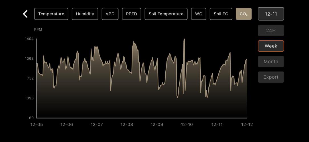 LSD Auto - GanjaFFarMers. Week 10 - W11 - Co2 