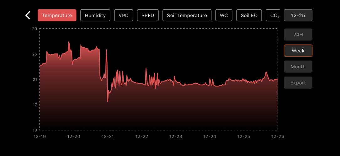 LSD Auto - GanjaFFarMers. Week 12 - W13 - Temp