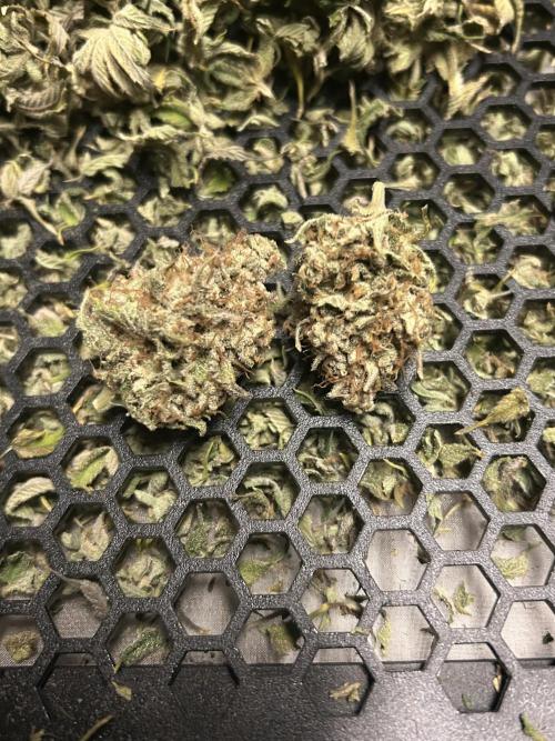 Ice Cream Cake. Week 16