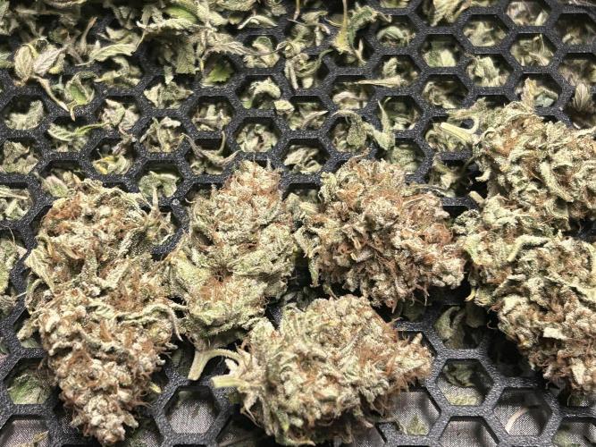 Ice Cream Cake. Week 16