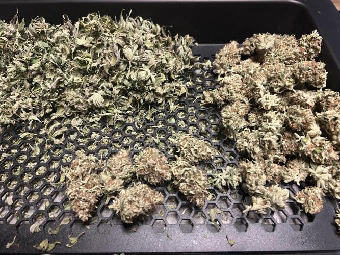 Ice Cream Cake. Week 16