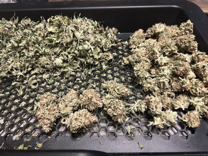 Ice Cream Cake. Week 16