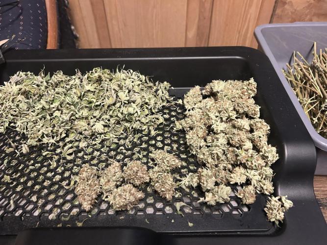 Ice Cream Cake. Week 16