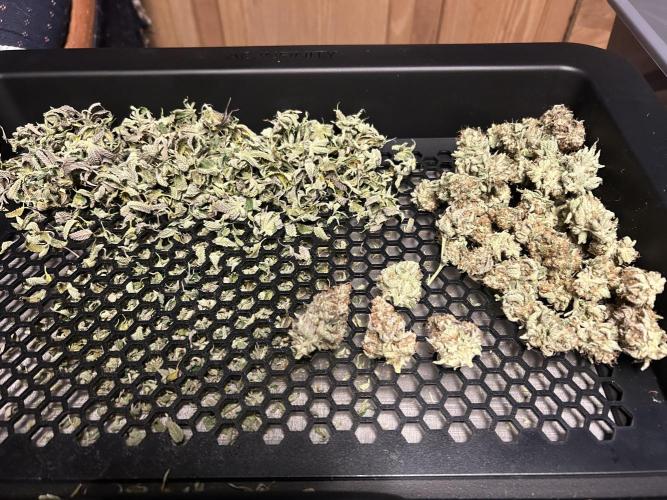 Ice Cream Cake. Week 16