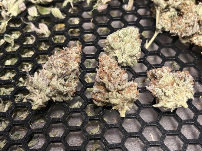 Ice Cream Cake. Week 16