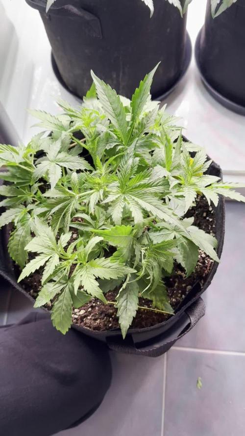 Wellness für Zwischendurch