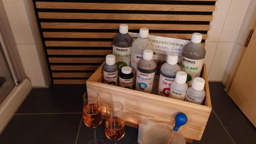 Sex Bud Photo. Week 18 - Todays' setting