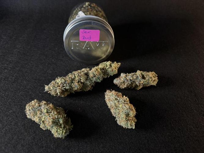 Sex Bud Photo. Week 22