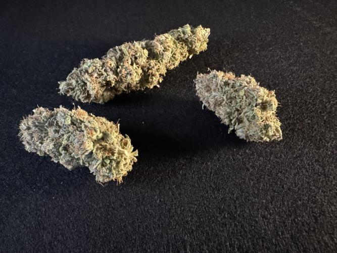 Sex Bud Photo. Week 22