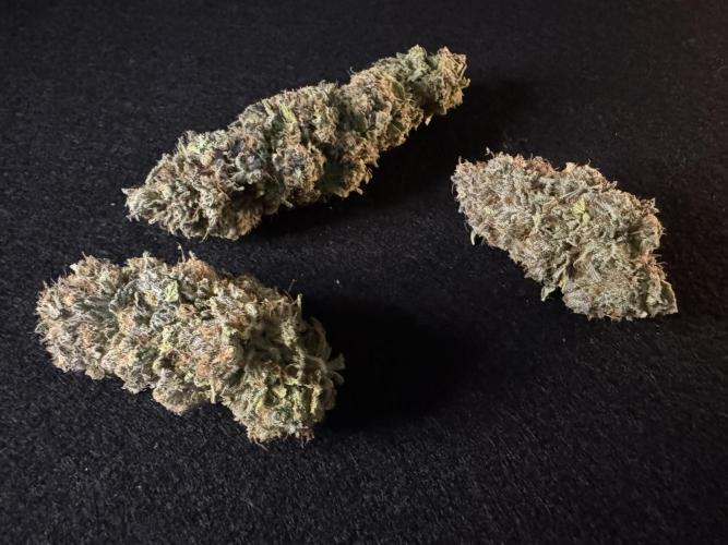 Sex Bud Photo. Week 22