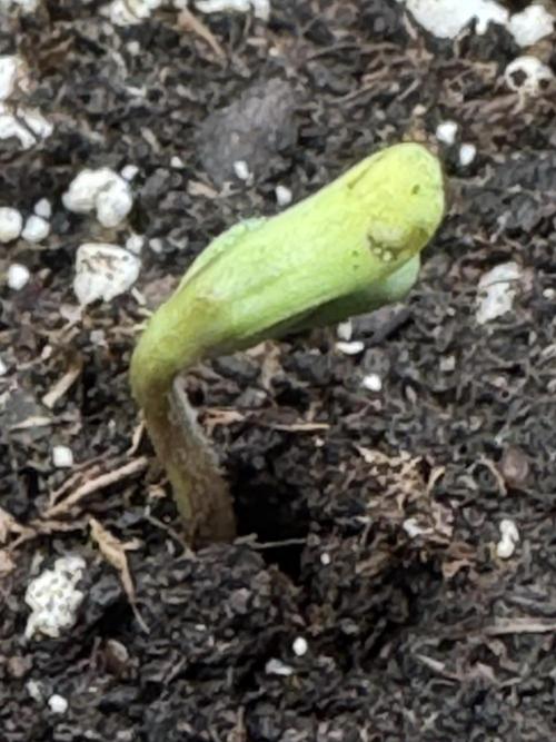 Permanent Marker. Week 0