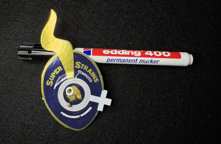 Permanent Marker. Week 0