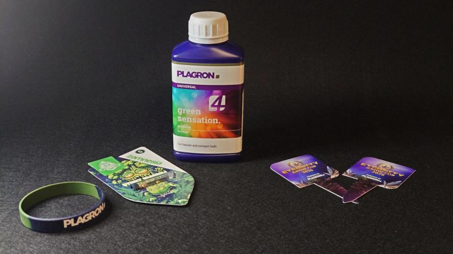 Sticky Broccoli Auto - Eternity Cup 2026. Week 0