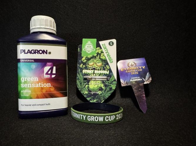 Sticky Broccoli Auto - Eternity Cup 2026. Week 0