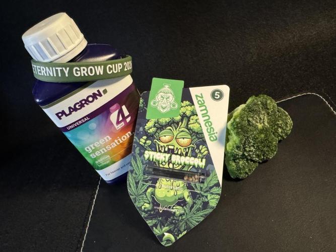 Sticky Broccoli Auto - Eternity Cup 2026. Week 0