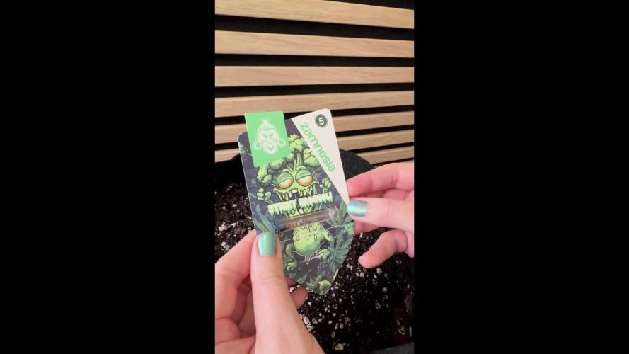 Sticky Broccoli Auto - Eternity Cup 2026