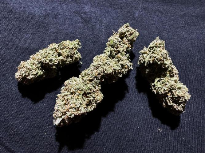 Sour Jealousy Auto. Week 12