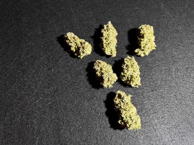 Cinderella Jack (Auto). Week 12