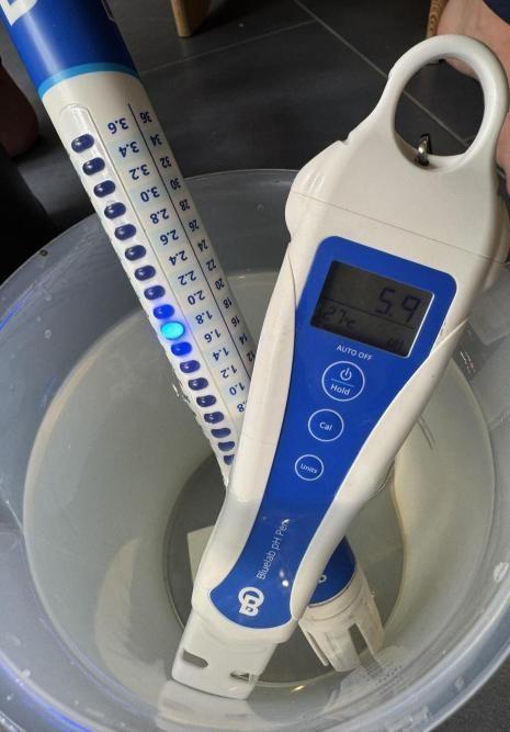 Sticky Broccoli Auto - Eternity Cup 2026. Week 4