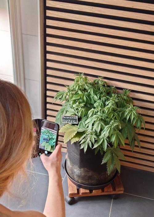 Permanent Marker. Week 5