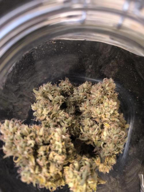 ALL GAS OG AUTO II.. Week 14