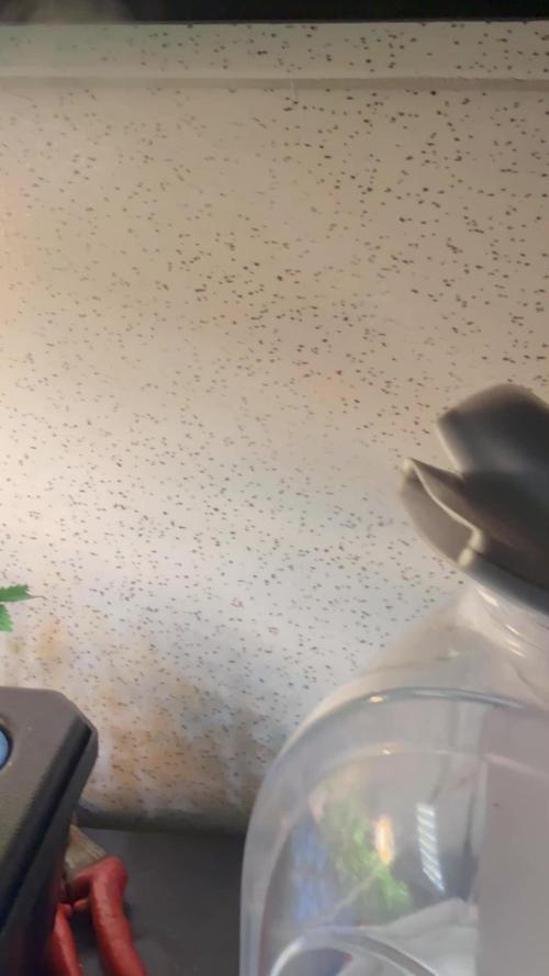 Start a New Grow