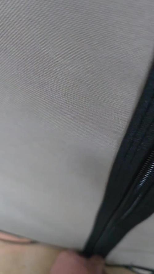 Super Lemon Haze (RDWC /SCrOG)