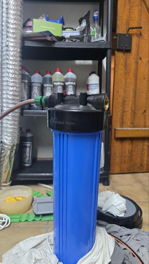 Super Lemon Haze (RDWC /SCrOG). Week 7